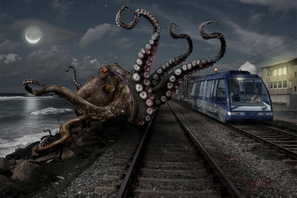 Kraken верификация