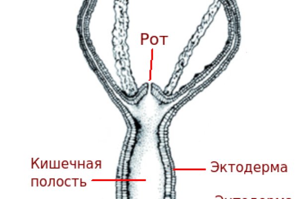 Даркнет сайт скачать