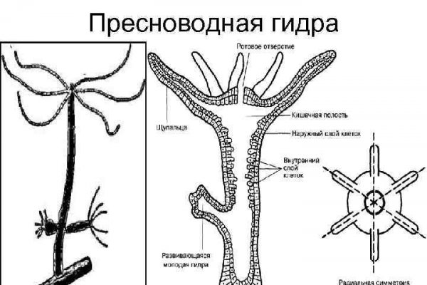 Кракен официальный сайт